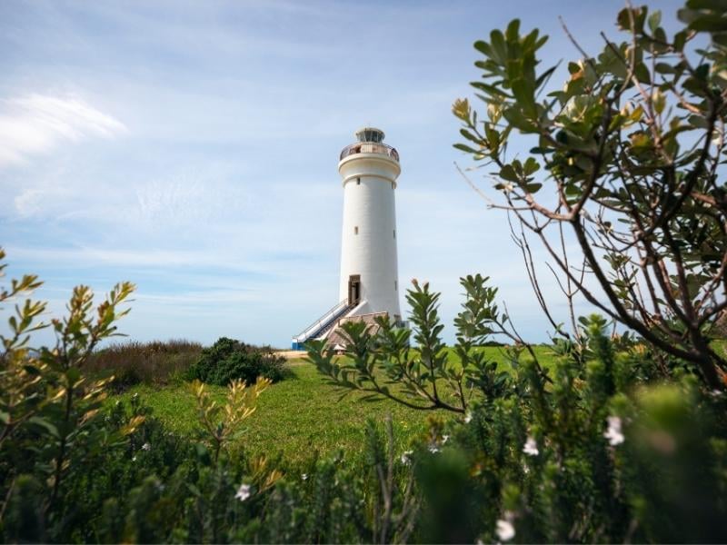 port stephens lighthouse tour